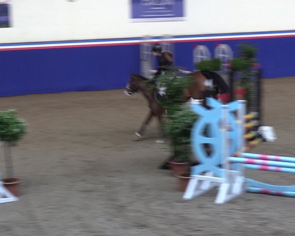 Reitturnier Elmshorn 2023
