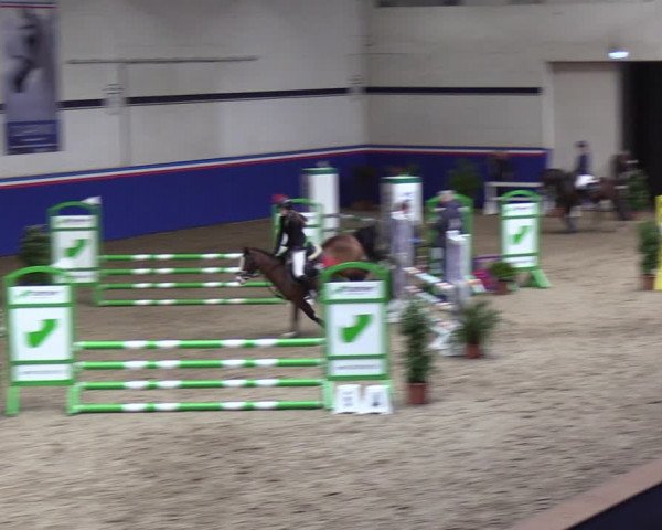 Reitturnier Elmshorn 2023
