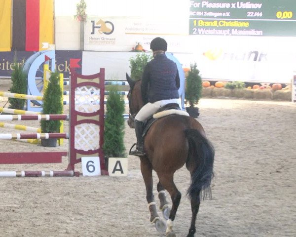 Reitturnier Karlsfeld/Obb. 2021