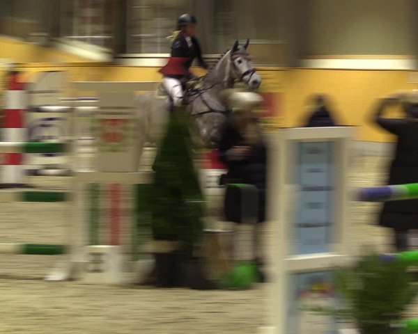 Reitturnier Münster-Amelsbüren 2023
