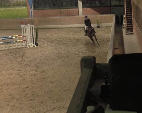 Reitturnier Heiden 2023