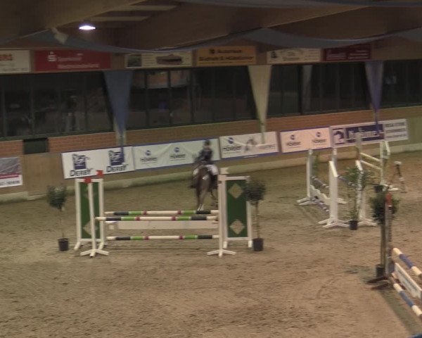 Reitturnier Heiden 2023