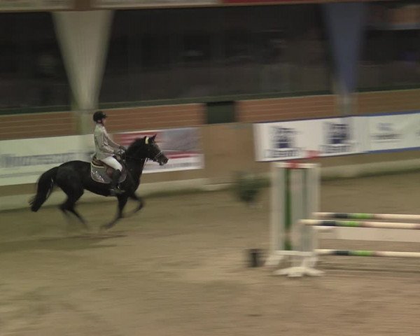 Reitturnier Heiden 2023
