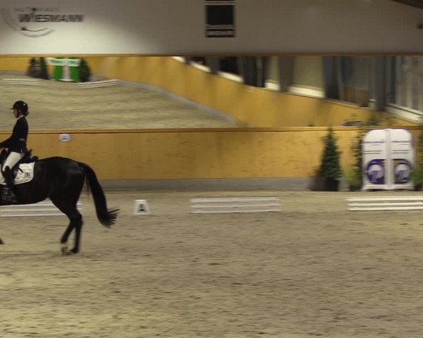Reitturnier Münster-Amelsbüren 2023