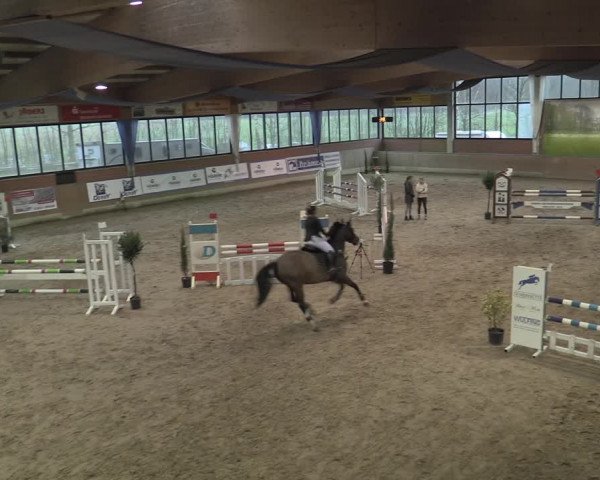 Reitturnier Heiden 2023