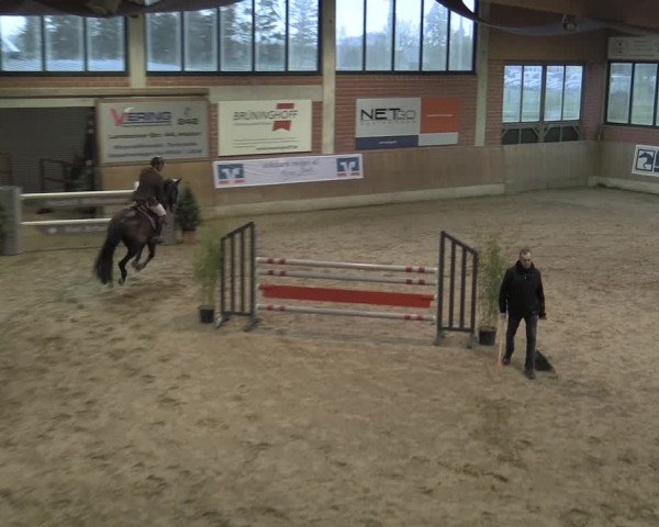 Reitturnier Heiden 2023