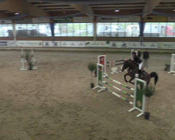 Reitturnier Heiden 2023