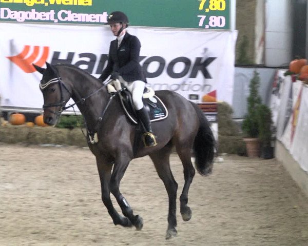 Reitturnier Karlsfeld/Obb. 2021