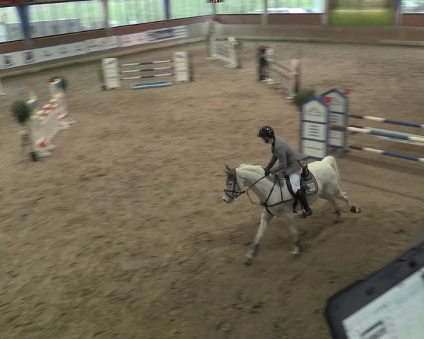 Reitturnier Heiden 2023
