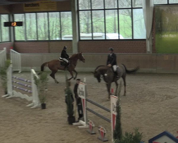 Reitturnier Heiden 2023