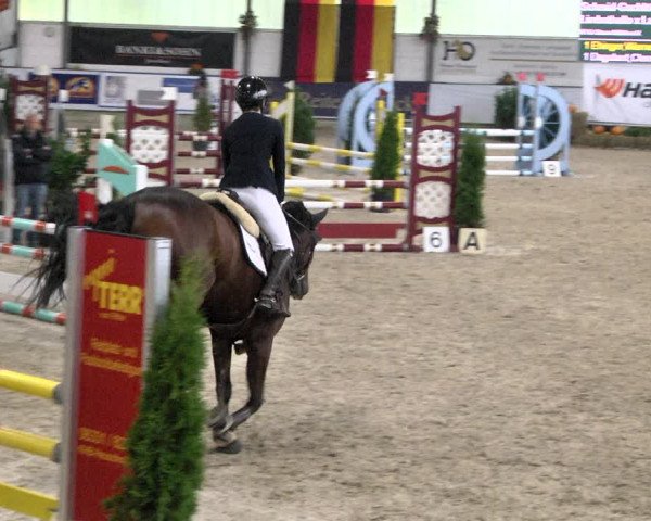 Reitturnier Karlsfeld/Obb. 2021