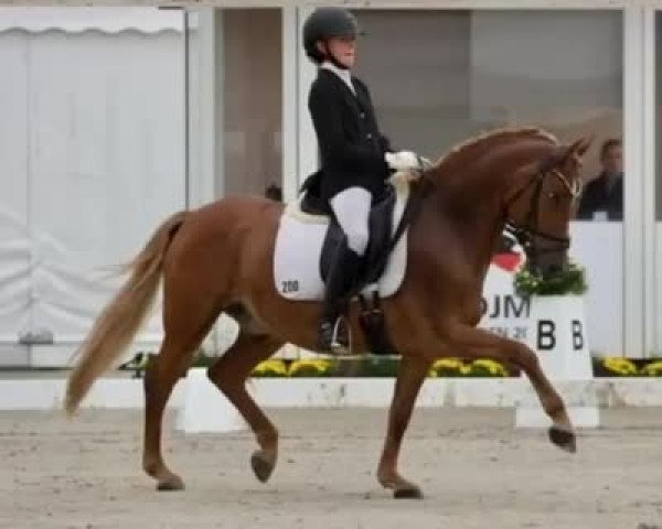 Video of Dobbi Dobsen