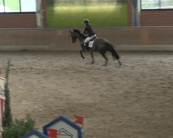 Reitturnier Heiden 2023
