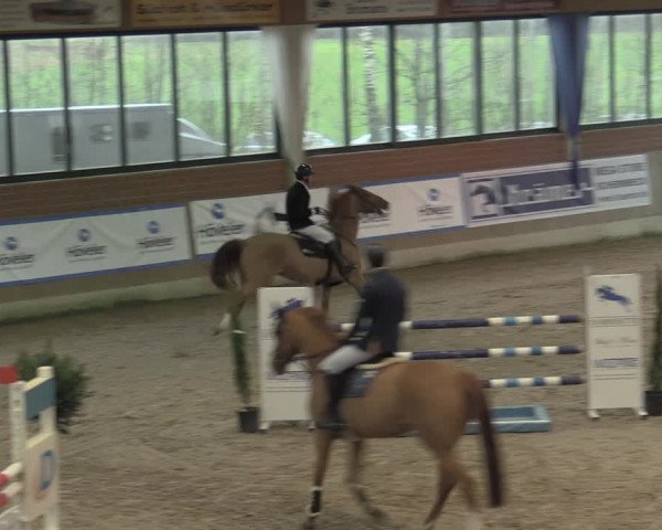 Reitturnier Heiden 2023