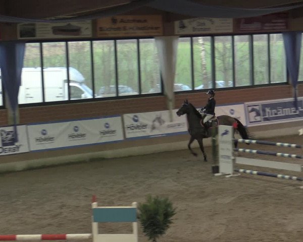 Reitturnier Heiden 2023