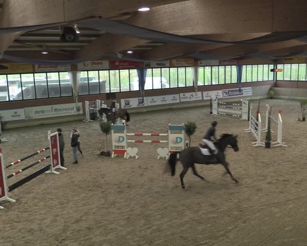 Reitturnier Heiden 2023