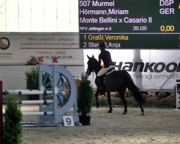 Reitturnier Karlsfeld/Obb. 2021