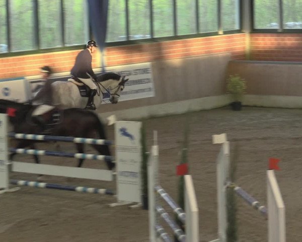 Reitturnier Heiden 2023