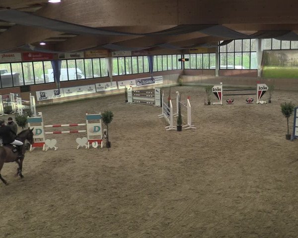 Reitturnier Heiden 2023