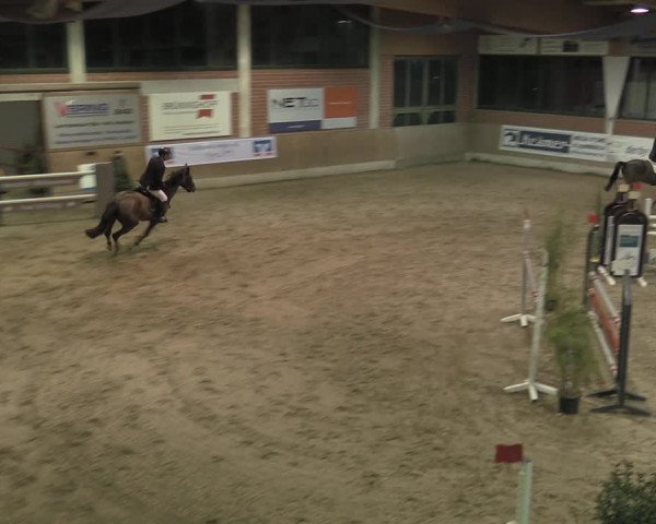 Reitturnier Heiden 2023