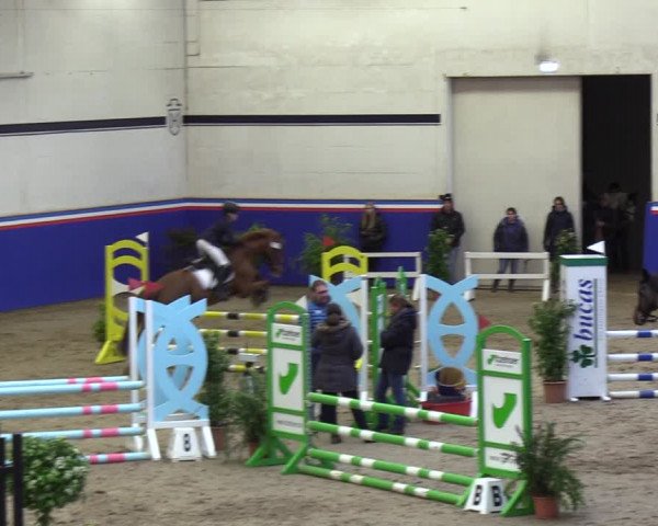 Reitturnier Elmshorn 2023