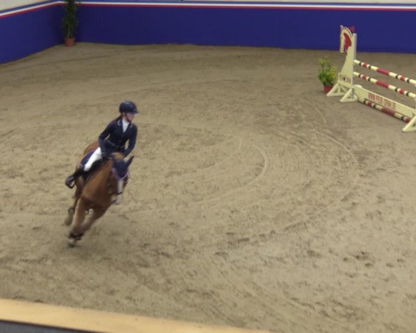 Reitturnier Elmshorn 2023