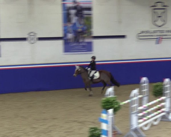 Reitturnier Elmshorn 2023