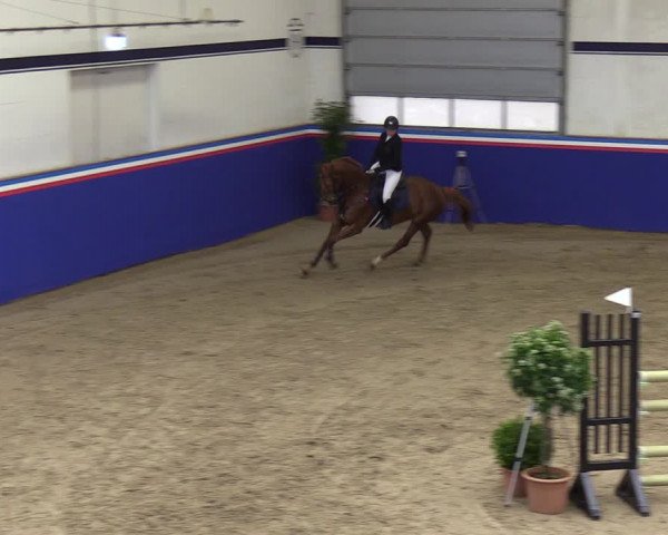 Reitturnier Elmshorn 2023