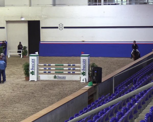 Reitturnier Elmshorn 2023
