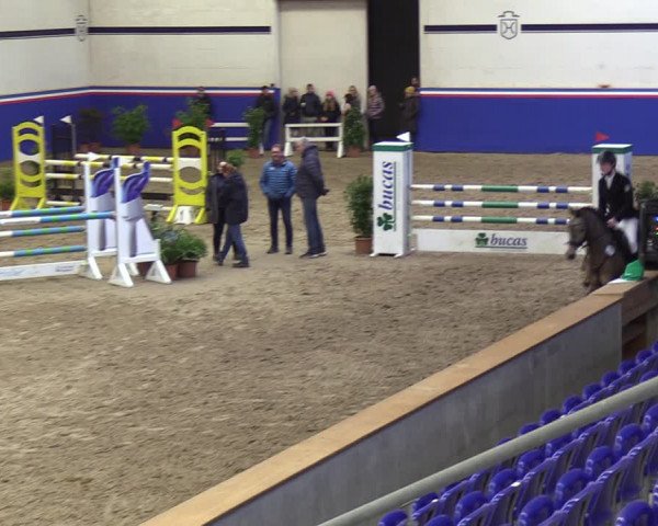 Reitturnier Elmshorn 2023