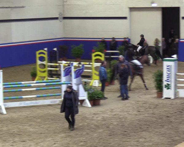 Reitturnier Elmshorn 2023
