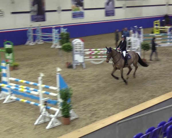 Reitturnier Elmshorn 2023