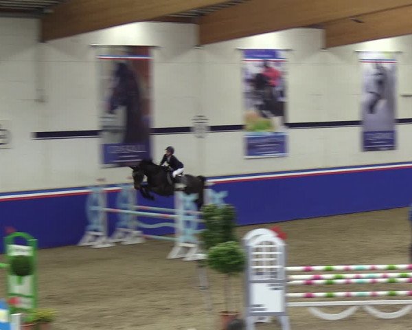 Reitturnier Elmshorn 2023