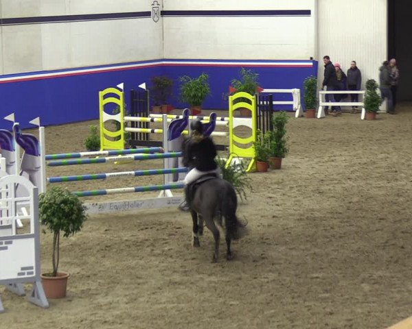 Reitturnier Elmshorn 2023