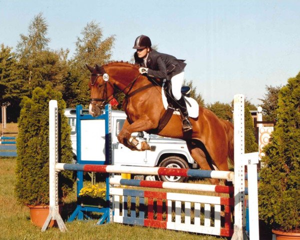 dressage horse Askari B 2 (Hanoverian, 1999, from Akatschi)