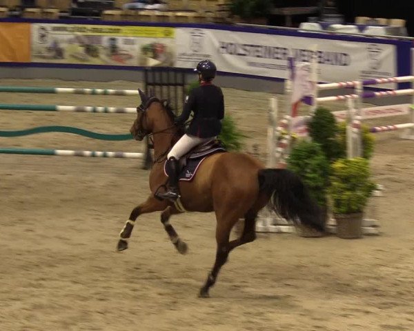 FEI Reitturnier Neumünster (GER) 2021