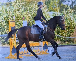 jumper Charming Airquick (Hanoverian, 2017, from Chaman)
