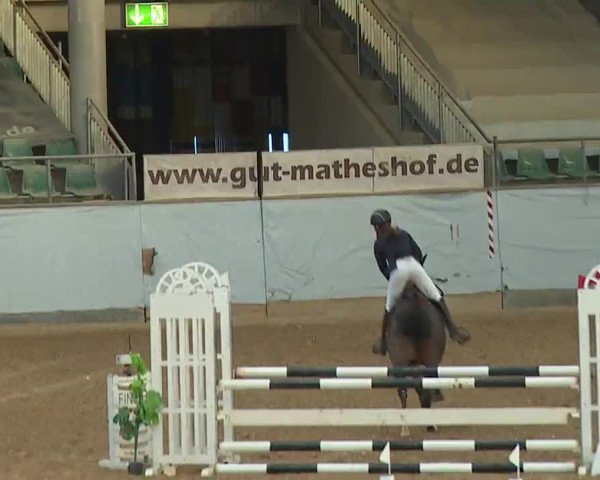 Reitturnier Kreuth 2023