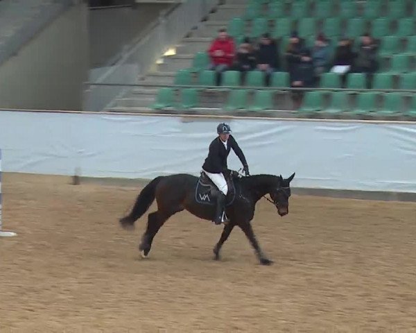 Reitturnier Kreuth 2023