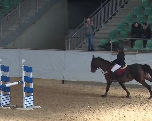 Reitturnier Kreuth 2023