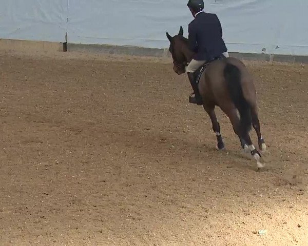 Reitturnier Kreuth 2023