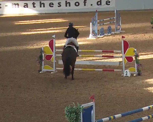 Reitturnier Kreuth 2023