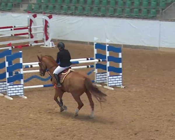 Reitturnier Kreuth 2023
