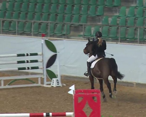 Reitturnier Kreuth 2023