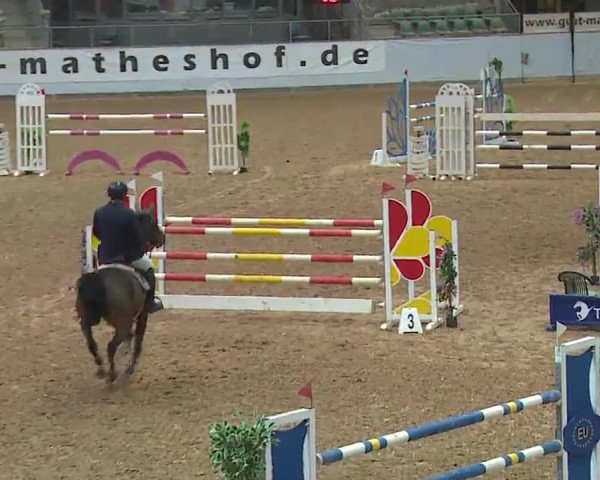 Reitturnier Kreuth 2023