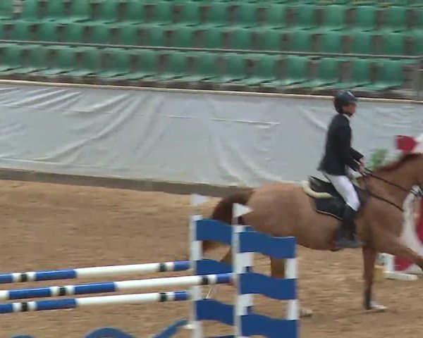 Reitturnier Kreuth 2023