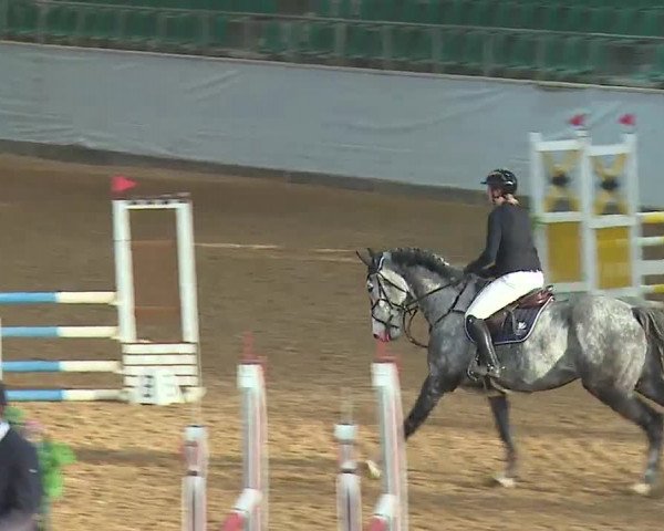 Reitturnier Kreuth 2023