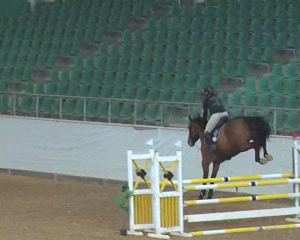 Reitturnier Kreuth 2023
