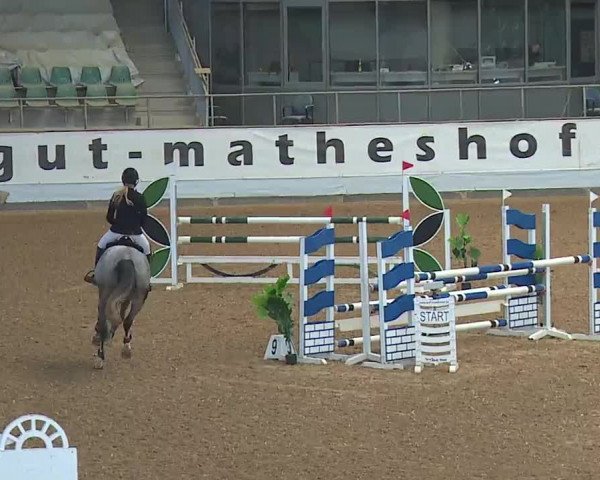 Reitturnier Kreuth 2023