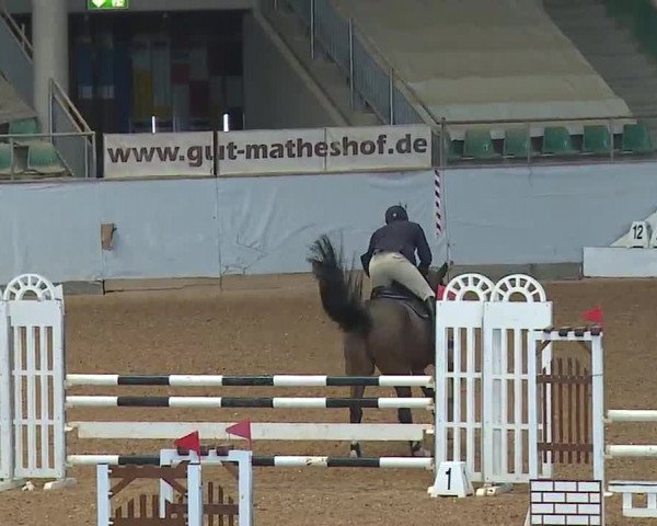 Reitturnier Kreuth 2023
